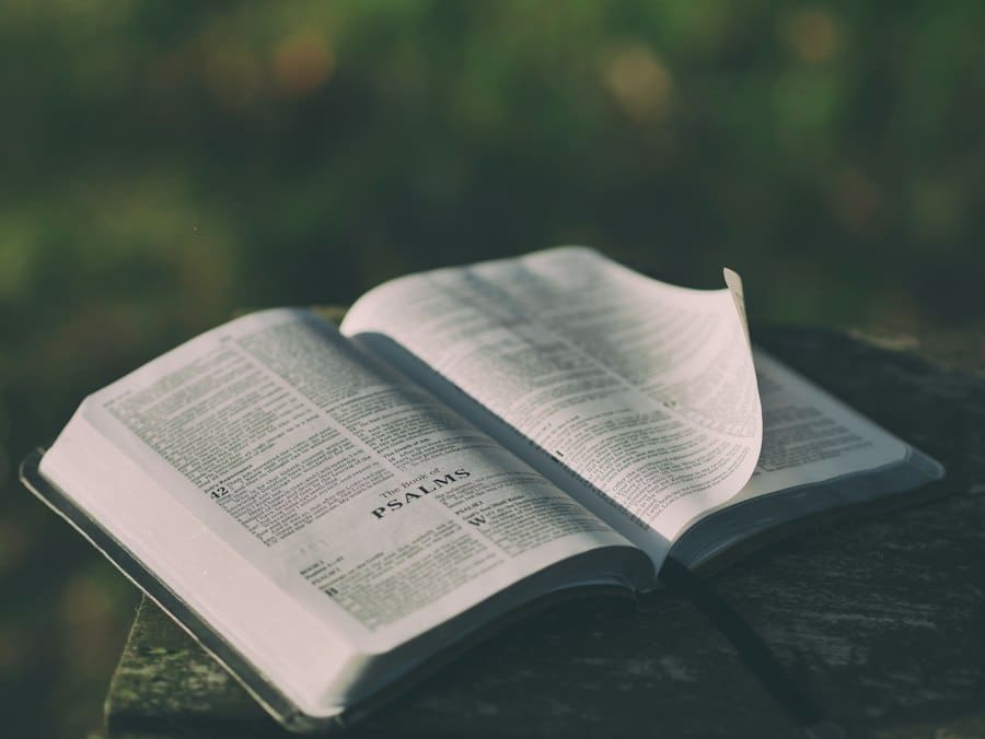 story bible