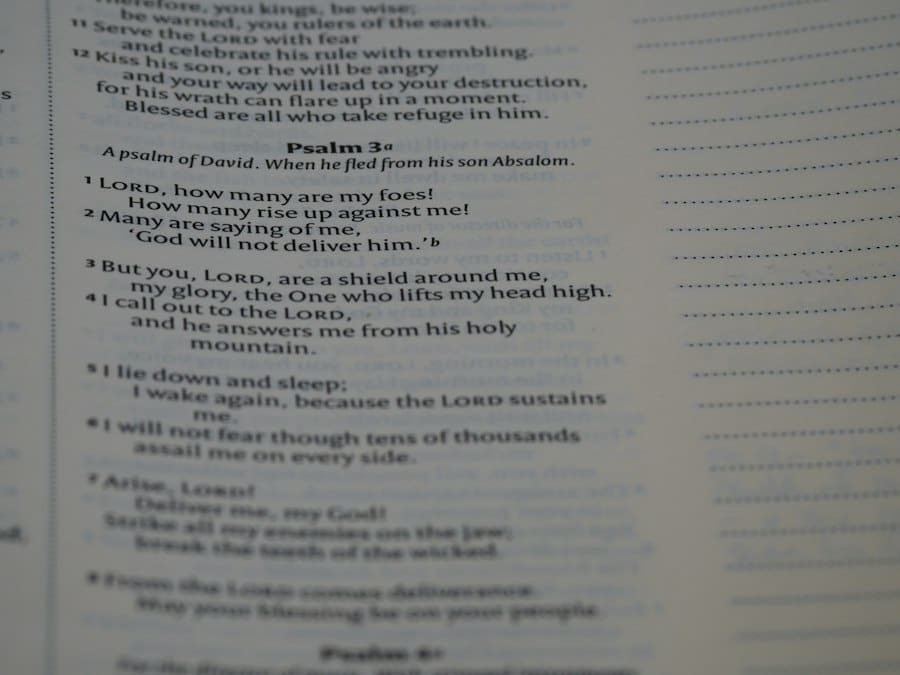 Photo character questionnaire