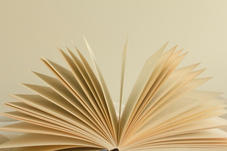 Word count – novel