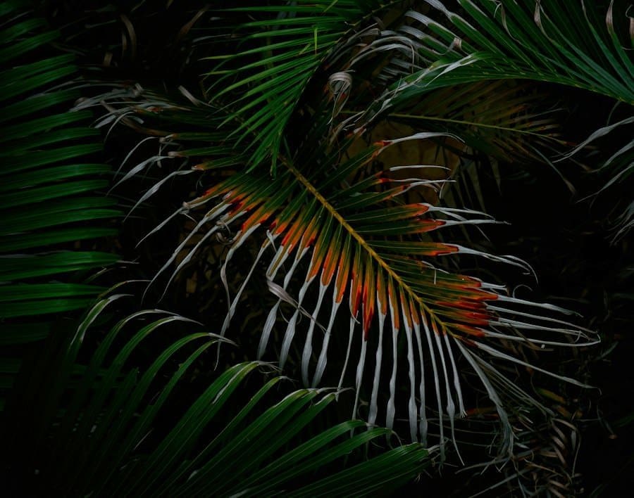 Photo tropes