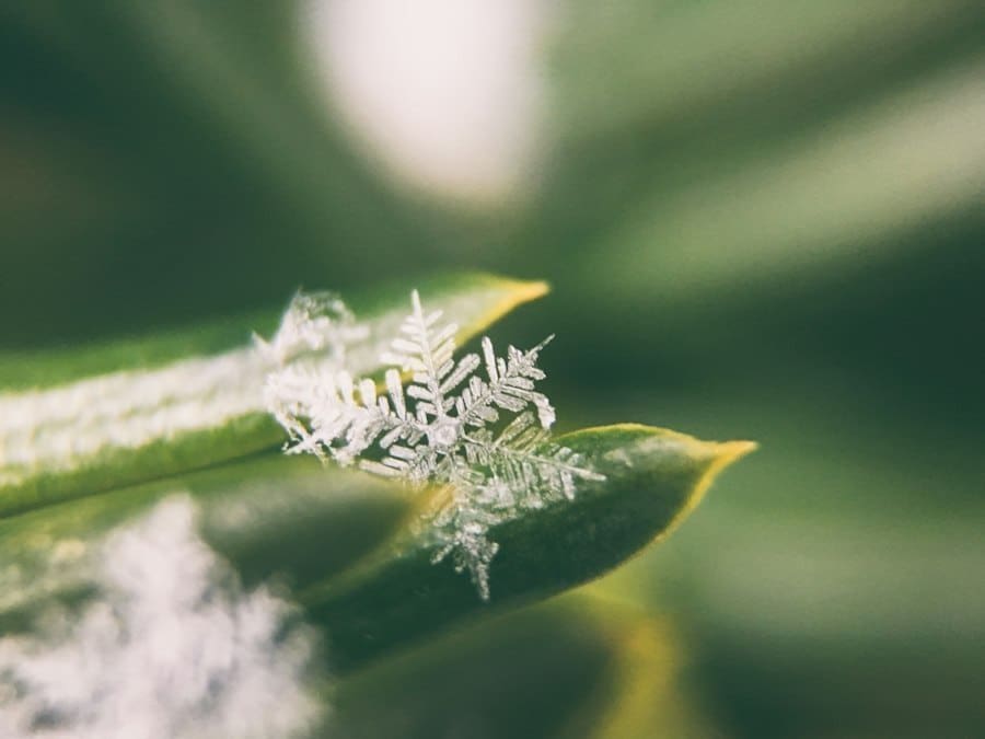 Photo snowflake method