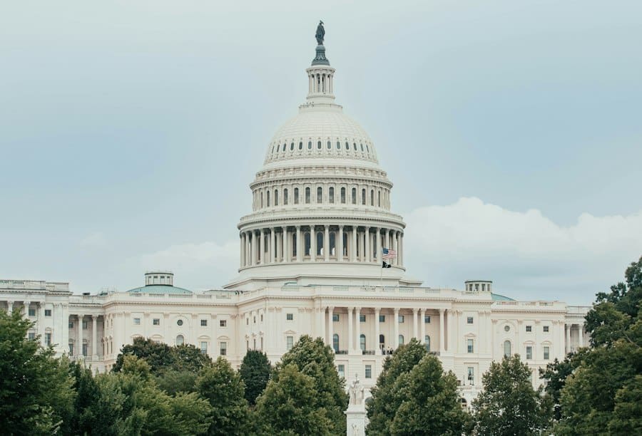Creating a fictional government in your writing
