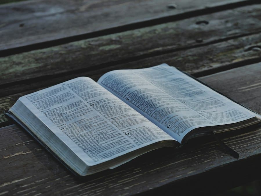 story bible