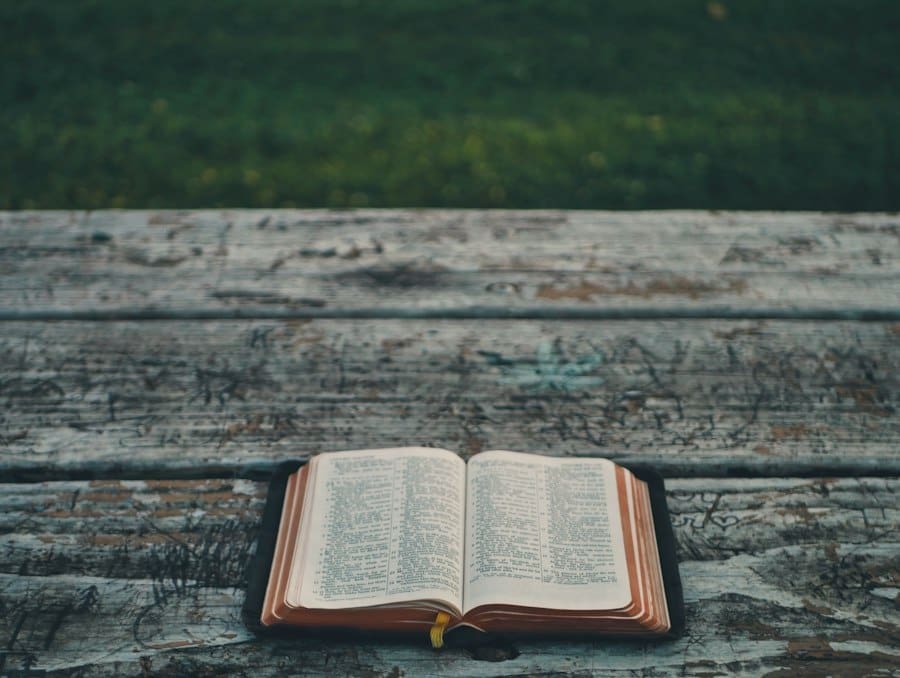 Story bible – bible