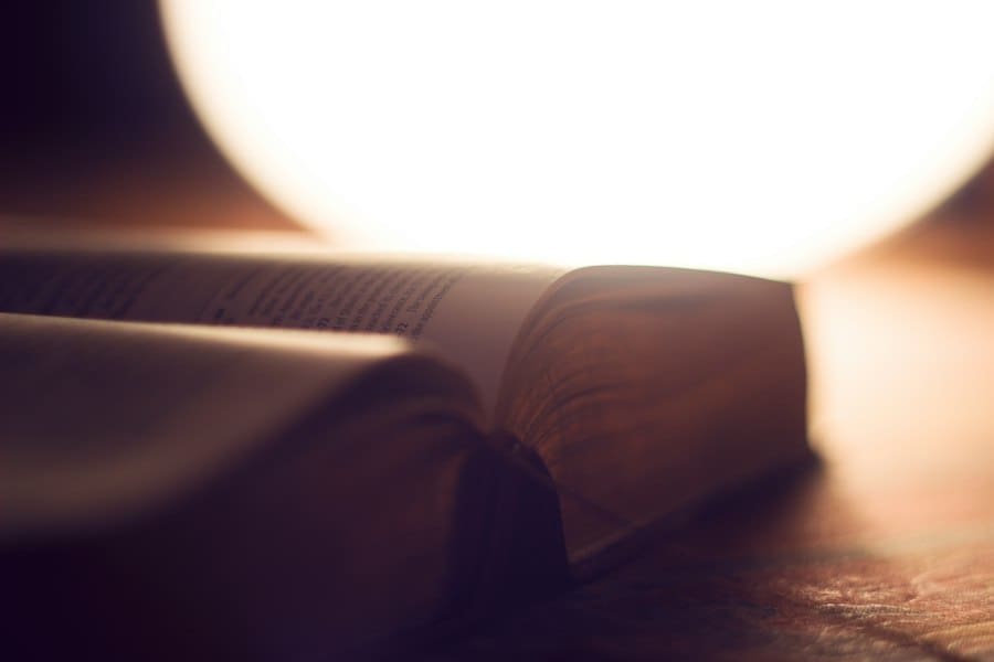 fantasy series bible