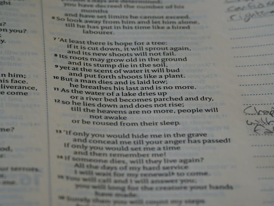 story bible checklist