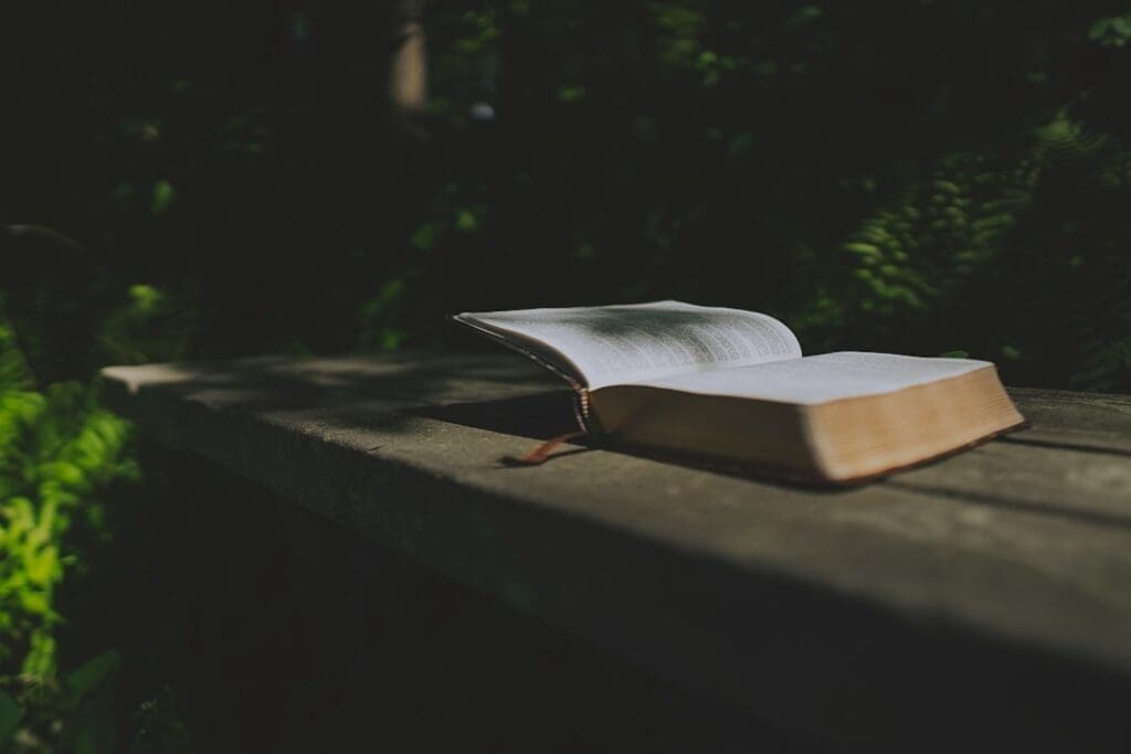 Photo Bible story writing mistakes