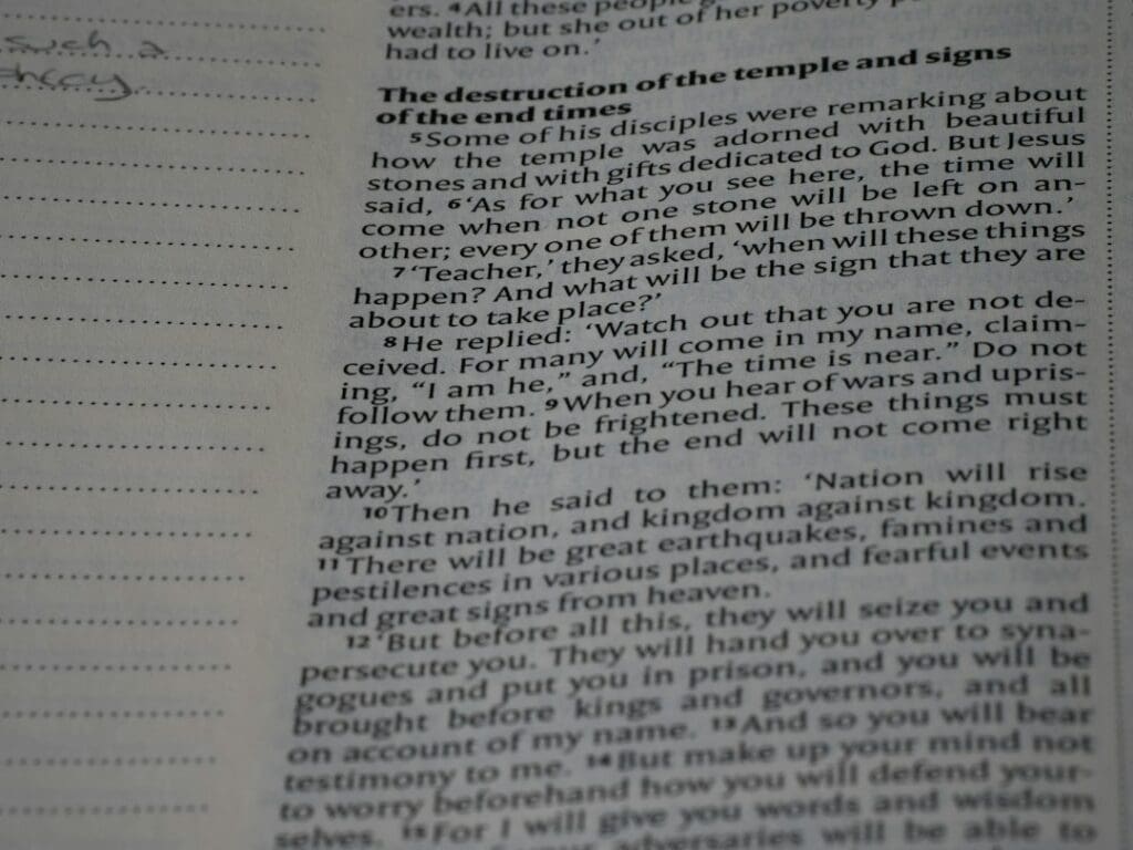 Photo character description writing tips
