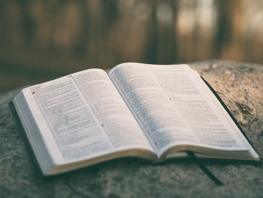 Photo story bible examples novelists