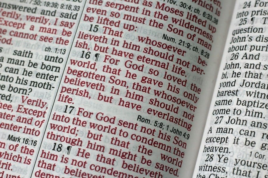 story bible examples novelists
