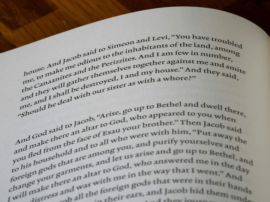 Photo graphic novel story bible creation